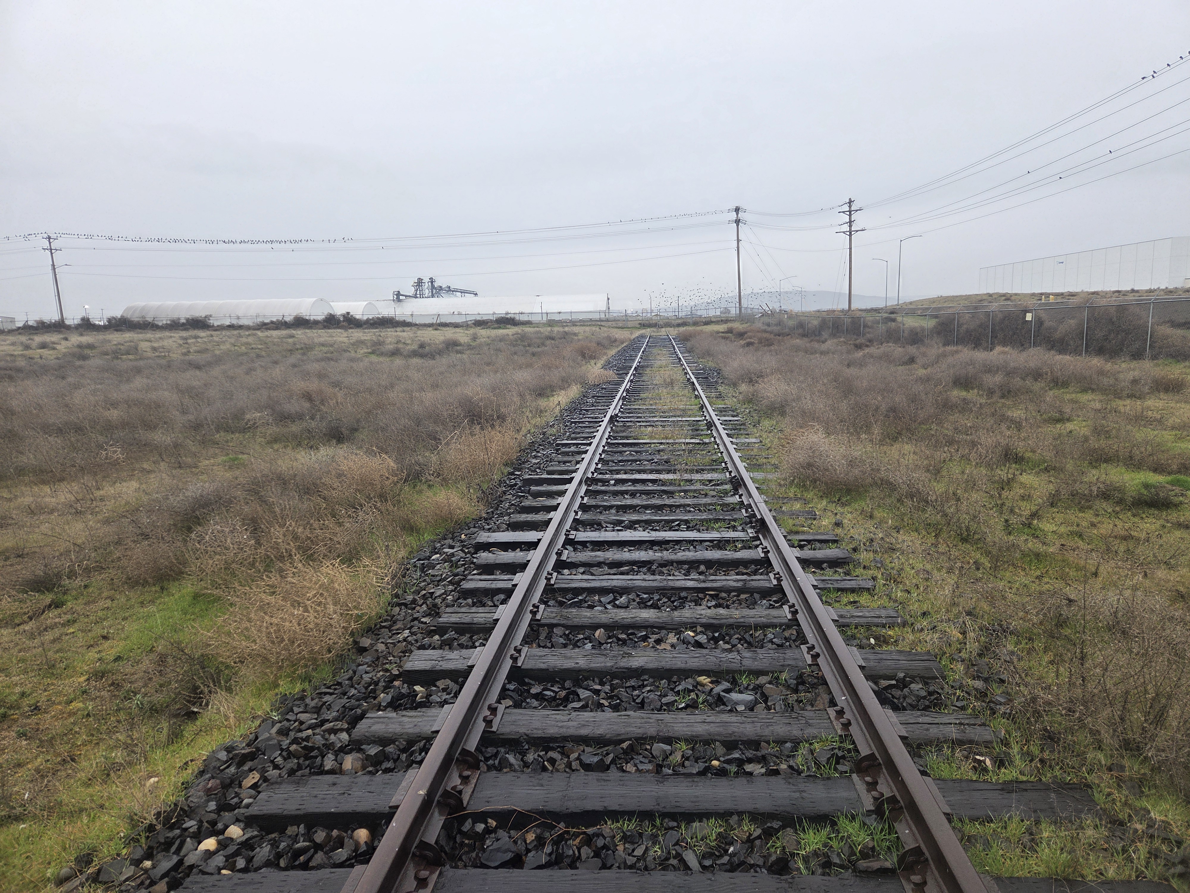 PFNW Facility Rail Access
